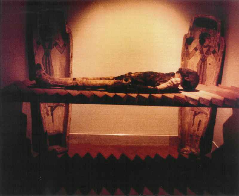 Ti Ameny Net Mummy in Sanborn's "The Mummy Room"
