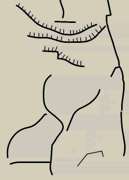 Place Above Head